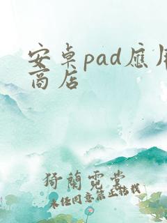 安卓pad应用商店