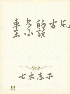 车多的古风双男主小说