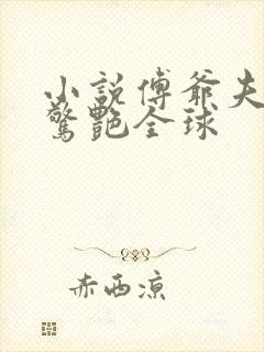 小说傅爷夫人又惊艳全球