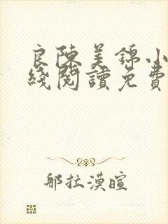 良陈美锦小说在线阅读免费