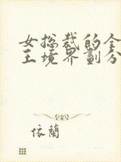 女总裁的全能兵王境界划分