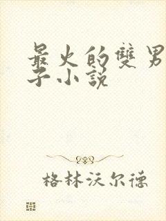 最火的双男主生子小说