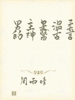 男主是温柔儒雅的神医古言