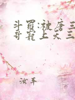 斗罗:被唐三哥哥宠上天三部关系