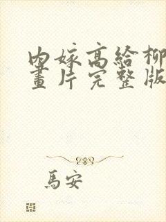 内嫁高给柳家动画片完整版