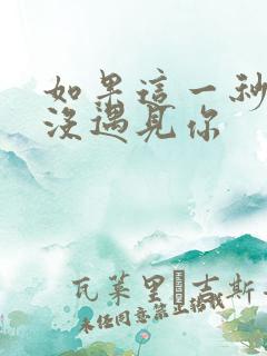 如果这一秒 我没遇见你