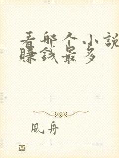 看哪个小说软件赚钱最多