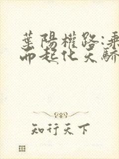 叶阳权路:乘风而起化天骄全文小说