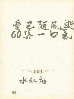 爱已随风逝短剧60集一口气看完