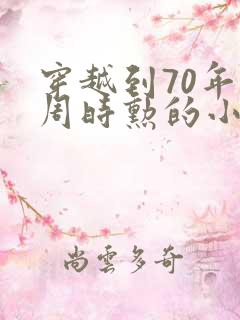 穿越到70年代周时勋的小说