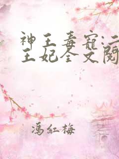 神王毒宠:二嫁王妃全文阅读免费