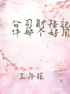 公司财务记账软件哪个好用