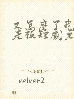 又怎么了我的大老板短剧免费观看