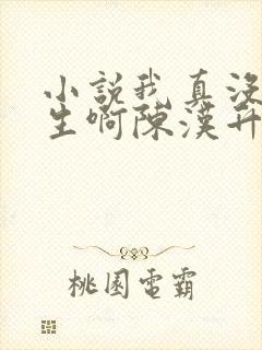 小说我真没想重生啊陈汉升全文