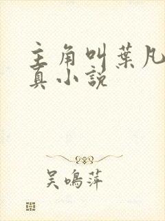 主角叫叶凡的修真小说