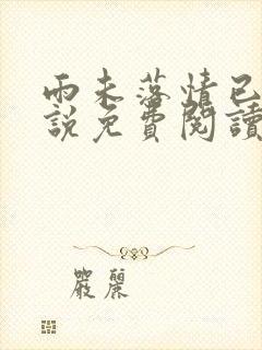 雨未落情已断小说免费阅读全文