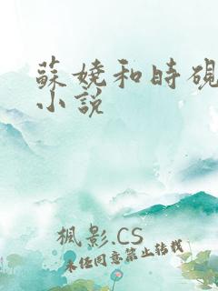苏娆和时砚清的小说