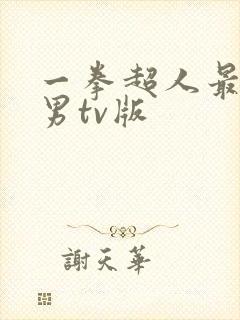 一拳超人最强之男tv版