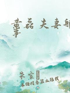 黄磊 夫妻那些事