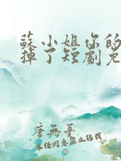 苏小姐你的老公掉了短剧免费观看