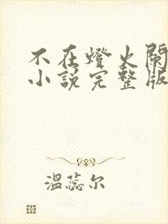 不在灯火阑珊处小说完整版