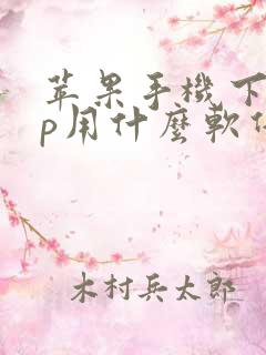 苹果手机下app用什么软件