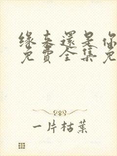 缘来还是你短剧免费全集免费播放