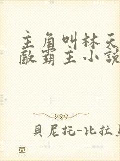 主角叫林天的无敌霸主小说名字