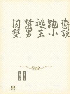 囚禁逃跑惩罚的双男主小说免费观看