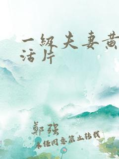 一级夫妻黄色生活片