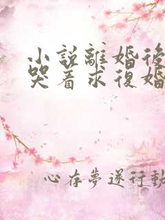 小说离婚后前夫哭着求复婚