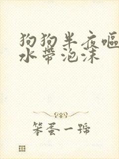 狗狗半夜呕吐黄水带泡沫