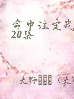 命中注定我爱你20集