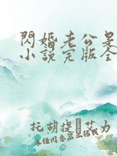 闪婚老公是豪门小说完版全章