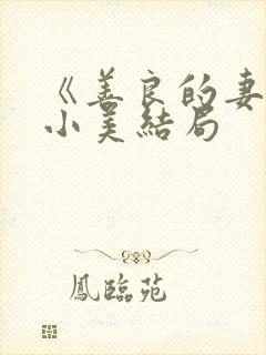 《善良的妻子》小美结局