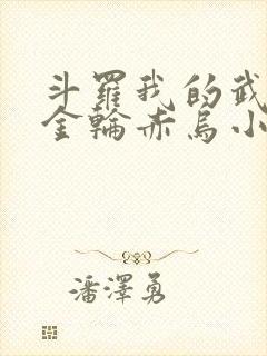 斗罗我的武魂是金轮赤乌小说
