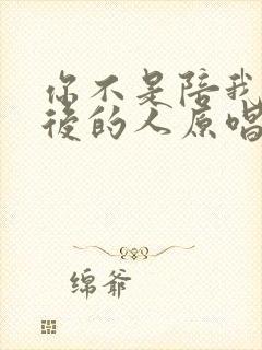 你不是陪我到最后的人原唱完整版