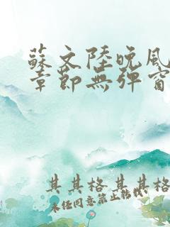 苏文陆晚风最新章节无弹窗笔趣阁