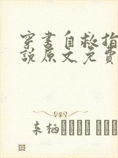 穿书自救指南小说原文免费阅读