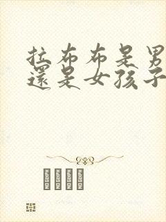 拉布布是男孩子还是女孩子