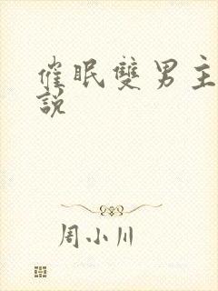 催眠双男主的小说