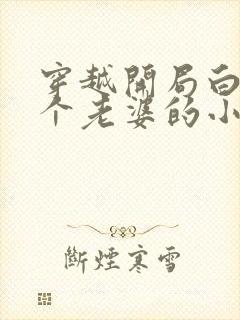 穿越开局白得了个老婆的小说