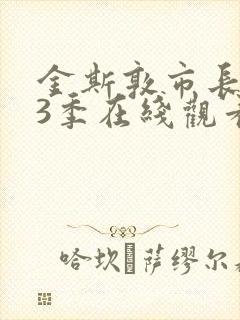 金斯敦市长 第3季在线观看全集免费播放