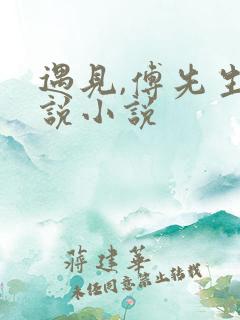 遇见,傅先生小说小说