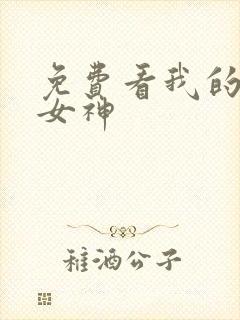 免费看我的绝色女神