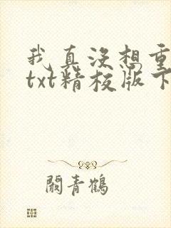 我真没想重生啊txt精校版下载