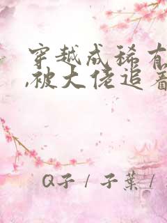 穿越成稀有雌性,被大佬追着宠的小说