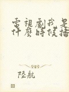 电视剧我是刑警什么时候播出