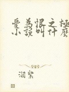 爱为恨之极原著小说叫什么名字