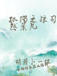 孤独之狼司空嫣然叶凡